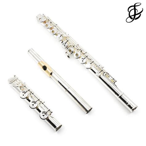 Pearl Elegante Series Flute Model 795 Vigore - New – Flute Center