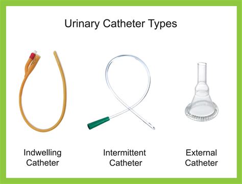 Catheters 101: The Basics of Urinary Catheter Types