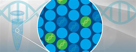 Molecular Diagnostics | Bio-Rad