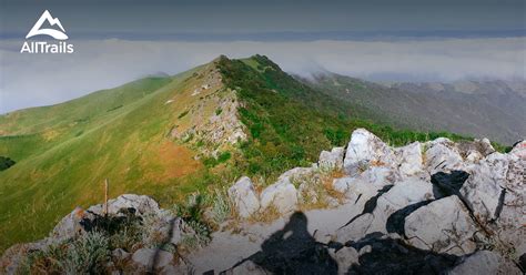 Best Trails in Fremont Peak State Park - California | AllTrails