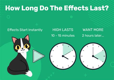 What Is Catnip & How Does It Affect Your Cat? (With Infographic) | Pet Keen