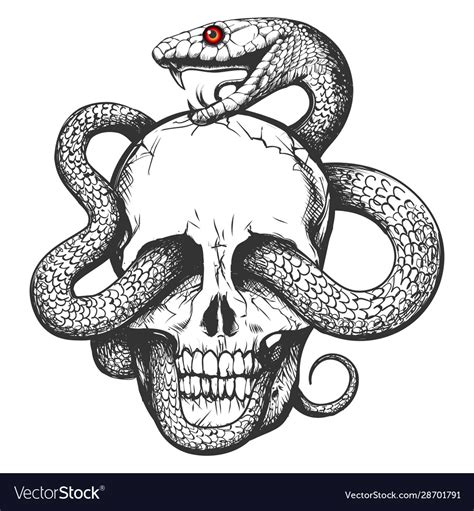 Skull with snake tattoo Royalty Free Vector Image