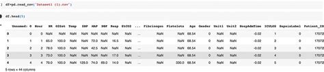 Exploratory Data Analysis