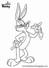 Looney Tunes Coloring Pages Bugs Bunny  Team sketch template