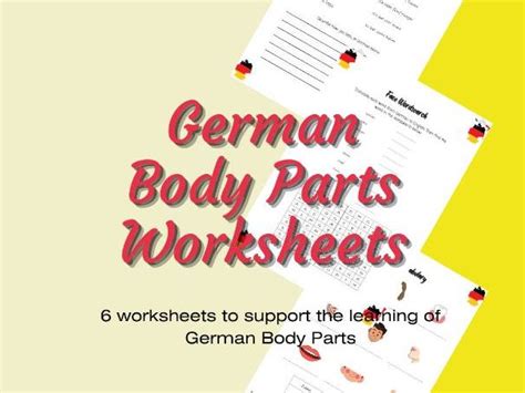 German Body Parts Worksheets | Teaching Resources