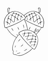 Acorn Coloring Pages Free Printable PDF sketch template