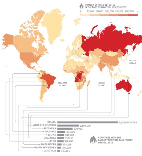 Map of Forest Fires Around the World 2019: Amazon, Siberia, Congo | Fortune