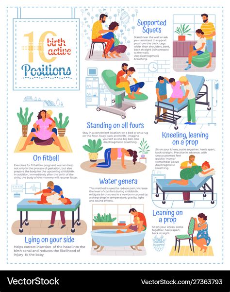 10 birth active positions poster pregnancy info Vector Image