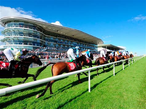 Galway Races - October Racing Festival 2025 horse race meeting 🏇