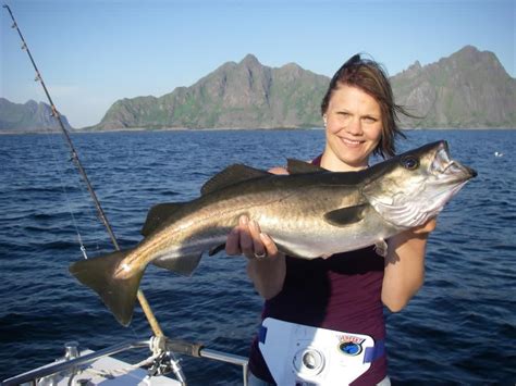 Sportfishing in Lofoten | Fishing | | Norway