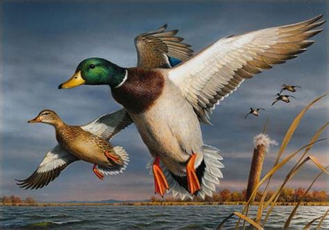 Brothers score 13th win in federal Duck Stamp art contest | The Spokesman-Review