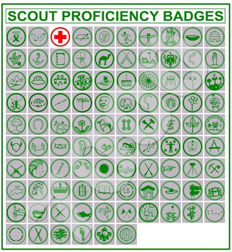 Scouting Everywhere: Scout Proficiency Badges