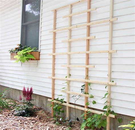 12 DIY Garden Trellis Plans, Designs and Ideas