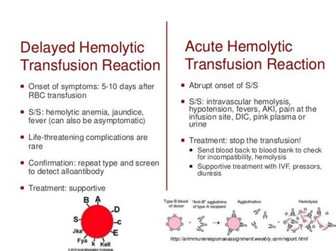 Delayed Hemolytic Transfusion Reaction - slidesharedocs