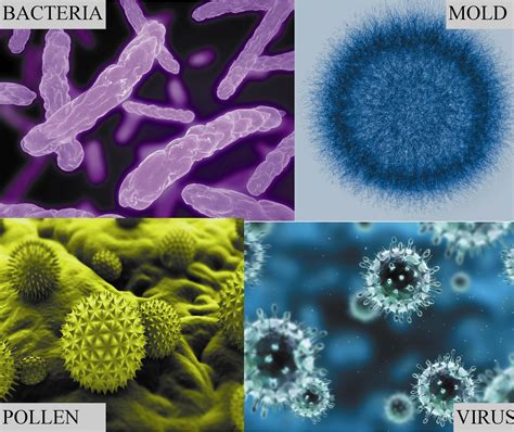 Biological Contaminants in Indoor Air Quality: Allergens, Bacteria ...