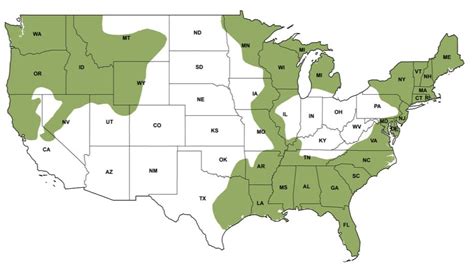 North American River Otter Map