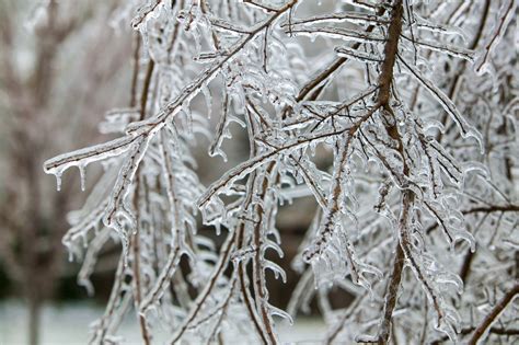 Parts of New England to See Significant Snowfall on Tuesday - Breaking ...