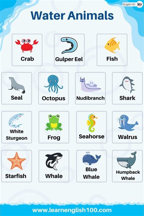 Water Animals - English 100