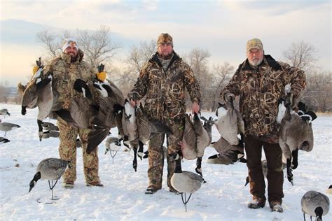 GUIDED CANADA GOOSE HUNTING IN CANADA 762275711_o - Ramsey Russell's GetDucks.com