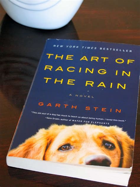 Clothed with Grace: The Art of Racing in the Rain