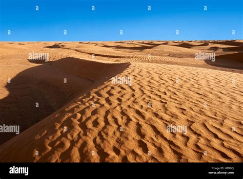 Grand erg oriental desert hi-res stock photography and images - Alamy