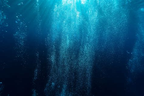 How Deep Is the Mariana Trench? FAQ About the World's Deepest Ocean - Environment Co