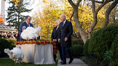 Boosted, Not Basted: Biden Pardons 2 Turkeys in Thanksgiving Tradition - The New York Times