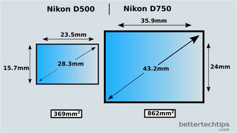 Nikon D500 vs Nikon D750. Which One You Should Buy? – Better Tech Tips