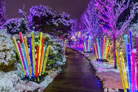 Image result for holiday flower show | Holiday lights display, Holiday lights, Christmas light show