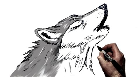 Drawings Of Wolves Howling