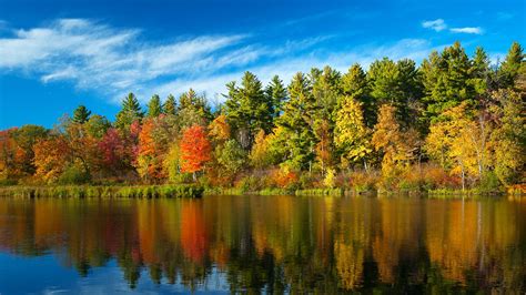 Fondos de pantalla : Árboles, paisaje, bosque, otoño, lago, agua ...