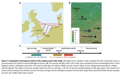 38% of English ancestry derived from Anglo-Saxon migration | Gemæcce