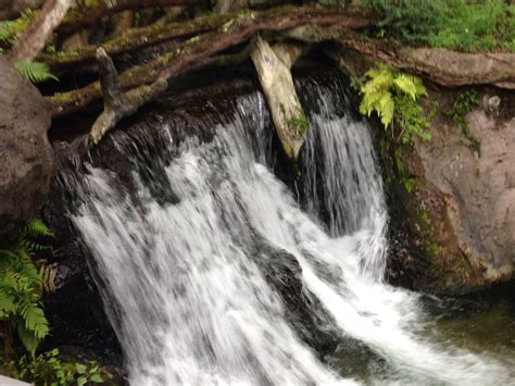 Rushing river | Waterfall, Outdoor, Water