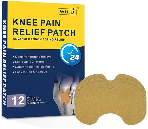 WILD+ Knee Pain Relief Patch, 12PCS Pain Relief Plaster Relief Knee ...