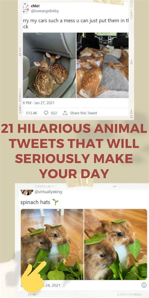 21 hilarious animal tweets that will seriously make your day – Artofit