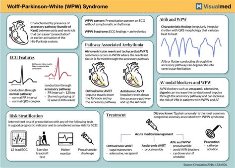 Wolf-Parkinson-White (WPW) Syndrome: Infographic - Visualmed