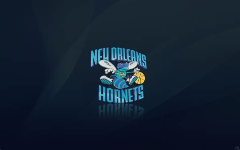 🔥 [40+] Hornets Wallpapers | WallpaperSafari