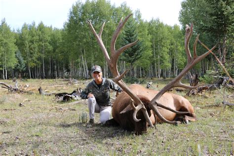 BULL BASIN RANCH COLORADO TROPHY BULL ELK HUNTS