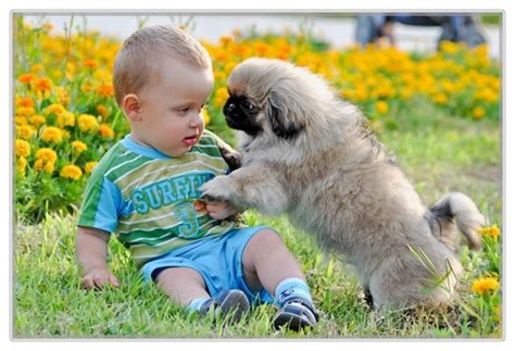 Cute Funny Kids And Animals Images-Photos | Funny World