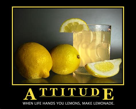 When Life Gives You Lemons Funny Quotes. QuotesGram