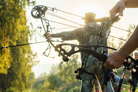 12 Best Compound Bows Reviewed & Revealed (Hands-on Guide)