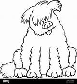Newfoundland Coloring Pages Dog Colouring Drawing Dogs Super Quilt  sketch template