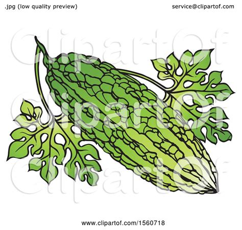 Clipart of a Bitter Gourd - Royalty Free Vector Illustration by Lal Perera #1560718