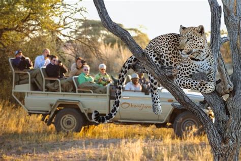 Otjiwarongo Area Safari Trips & Tours | Timbuktu Travel