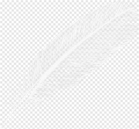 Feather Arrow Point, Feather, white feather illustration, texture, angle png | PNGEgg