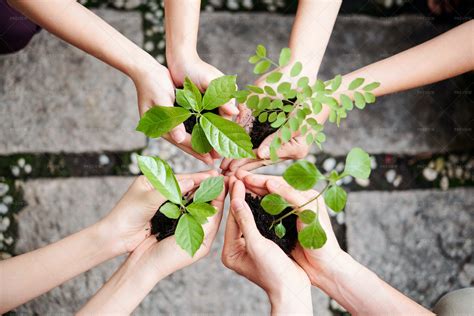 Care Of Plants - Stock Photos | Motion Array