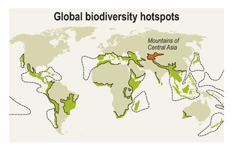 Global Hotspots Map