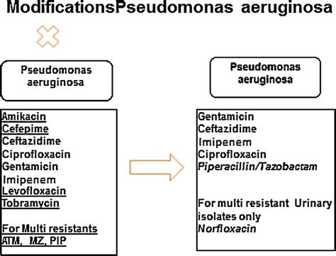 Pseudomonas Aeruginosa Pneumonia Antibiotic Treatment - Carpet Vidalondon