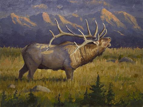 Oil Paintings by Jason Tako: Elk