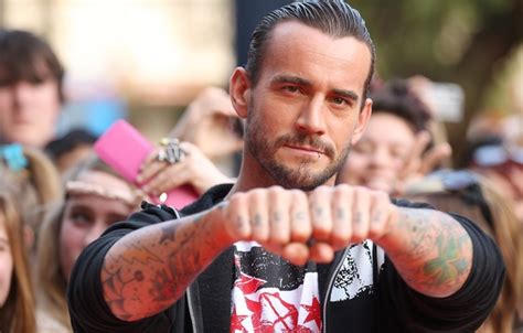 Wallpaper male, beard, wrestler, CM Punk, WWE, Phillip Jack Brooks ...